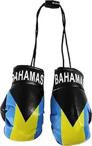 Bahamas Mini Boxing Gloves Country Pride Flag CAR Truck AUTO
