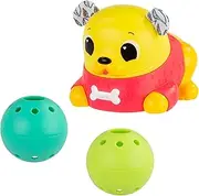 Crawl & Chase Pug Popper