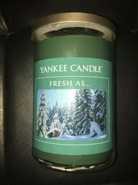 在飛比找Yahoo!奇摩拍賣優惠-【西寧鹿】YANKEE CANDLE 22OZ  Fresh