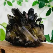 721g Cultivate Smoky Quartz Crystal Cluster Mineral Specimen Energy Healing