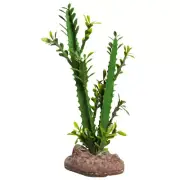 Reptile One Reptile Plant Medium Euphorbia Trigona Green W/Ceramic Base 24cm