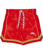 Dolphins NRL Toddler Mesh Shorts