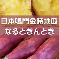在飛比找蝦皮購物優惠-【日本德島栗子地瓜】亮麗的紫衣外皮 栗子般綿密香甜的金黃內餡