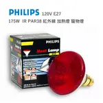PHILIPS 飛利浦 PAR38 110V 175W 紅外線加熱燈 寵物燈 PH-84049/84051
