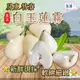 屏東枋寮白玉蓮霧 大 3斤/盒(14~19顆)