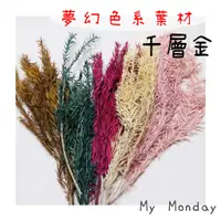 在飛比找蝦皮購物優惠-My Monday 衝評價 千層金【 黃金香柳／ 茶樹葉 】