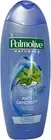 Palmolive Naturals Anti-Dandruff Shampoo Mint 350ml