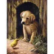 DIY Royal Langnickel Labrador Puppy Paint by Number Kit