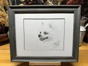 Drawing of a an White Pomeranian Eskimo Spitz Dog Graphite Pencil Sketch Picture
