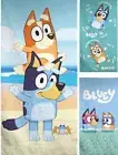 Bluey Bath Towel 70x140cm Beach Towel XXL Almost Dry