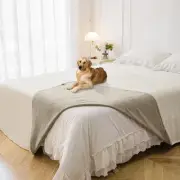 Waterproof Blanket for Bed Protection, Washable Dog Blankets for Couch, Soft ...