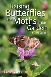 在飛比找三民網路書店優惠-Raising Butterflies and Moths 