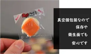日本 信州好物研究室 鮭魚起司 300g 下酒菜 個包裝 零食 零嘴 點心 海鮮 北海道產【小福部屋】