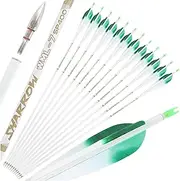 32" Pure Carbon Arrows Archery Practice Hunting Arrows Spine 400 500 600 700 800 Targeting Arrows with 100 Grain Removable Tips for Compound & Recurve & Long Bow 6/12 Pcs