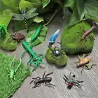 Toy Kids Gift Garden Decoration Fun Model Snake Lizard Ant Insect Farm Animal