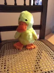 TY Beanie Buddy duck Quakers B3