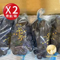 在飛比找誠品線上優惠-盛花園蔬果 南投信義鄉巨峰葡萄2Kg x2盒