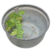 Gex Medaka bowl pot Storm drainage 16.5in Resin Mikage 22oz 4gal Japan killifish
