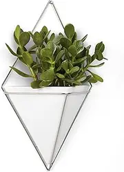 Umbra Trigg Hanging Planter Vase & Geometric Wall Decor Container-for Succulent, Air, Mini Cactus, Faux Plants and More, Large, White/Nickel Decor