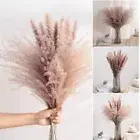 Artificial Natural Dried Pampas Grass Flower Bunch Wedding Bouquet Decor AU