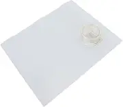 RIZGHWOY RV Screen Door Slider Panel Plastic Clear Slide Panel 239061 with Push Down Knob Opener for Easy Access and Travel 12inch X 9.75inch