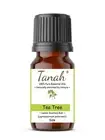 TEA TREE (Lemon Scented Gum) Essential Oil (Leptospermum petersonii) 100% Pure