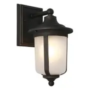 Cougar Devon Metal Outdoor Lantern Wall Light