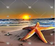 STARFISH BEACH OCEAN SUNSET SEASHELL SAND #1 COMPUTER MOUSE PAD 9 x 7