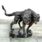Mythic Odysseys Theros ~ TWO-HEADED CERBERUS #11 Icons Realm D&D dog miniature