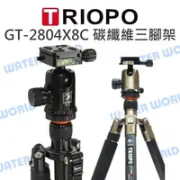 在飛比找樂天市場購物網優惠-捷寶 TRIOPO Caripro GT-2804X8C 碳