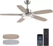Ceiling Fans with Lights and Remote/App Control,50“ Modern Ceiling Fan with Quie