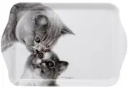 Ashdene Feline Friends - Mothers Love Scatter Tray