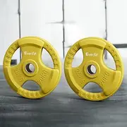 Everfit Weight Plates Standard 20kgx2 Dumbbell Barbell Plate Weight Lifting Home