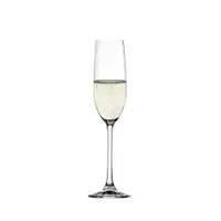 在飛比找ETMall東森購物網優惠-【Spiegelau】12入香檳杯｜Salute系列-210