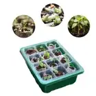 6/12 Holes Seed Starter Tray With Humidity Dome Succulent Propagation Tray _ga