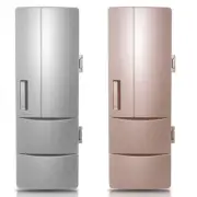 Portable USB Fridge Beverage Refrigerator Small Drink Cans Cooler / Warmer