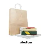 Brown Kraft Takeaway Bag - Medium 250 pcs