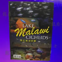 在飛比找蝦皮商城精選優惠-✨現貨✨馬拉威湖慈鯛