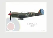 Warhead Illustrated P-40N Kittyhawk 3 Sqn RAAF CV-Z Aircraft Print