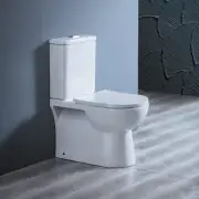 Back to Wall Rimless Dual Flush Toilet Suite Soft Close P S TRAP Hygiene Glaze