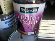 TAUBMANS 4 LITRE LIVING-PROOF MATT-ACRYLIC INT WASHABLE ANT-WHITE-USA paint