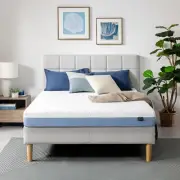 ZINUS 6 Inch Cooling Essential Memory Foam Mattress Queen Fiberglass Free Medium