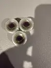Scentsy Set Of 3 Wax Melt Samples Frosted Cedar New