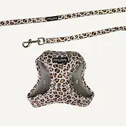Dan & Sam Wild Sunflower Step-in Cat Harness & Lead - Small, Comfortable & Secure Fit, Easy to Use, Stylish Sunflower Design, Ideal for Outdoor Adventures