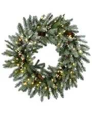 National Tree Company 30in Snowy Morgan Spruce Wreath With Twinkly Led Lights