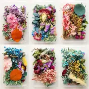 1 Box Bulk Mixed Dried Flowers DIY Epoxy Resin Filling Aromatherapy Home Art Acc