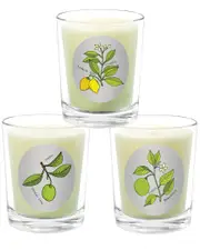 Qualitas Candles 3pc Candle Set - Desert Lime, Bergamot, & Lemon Tree