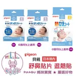 【PIKABU皮卡布】日本境內版 PIGEON 貝親 鼻塞軟膏50G  舒鼻貼片 6入/14入 現貨供應