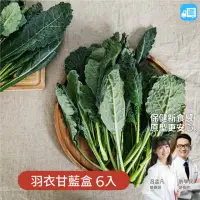 在飛比找momo購物網優惠-【NICE GREEn 美蔬菜】羽衣甘藍盒 200g 6入(