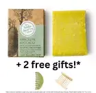 The Australian Natural Soap Company ~ ABSOLUTE AVOCADO ~ Vegan Soap Bar 100g